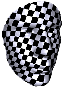 heads