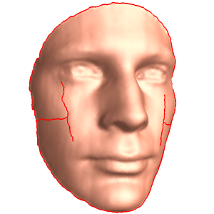 heads