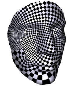 heads