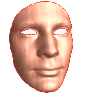 heads