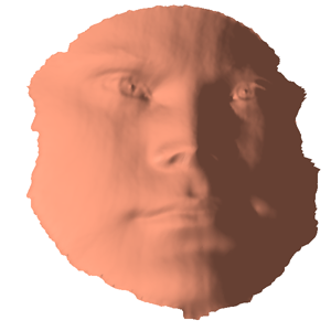 heads