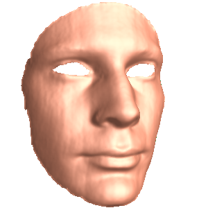 heads