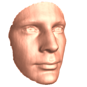 heads