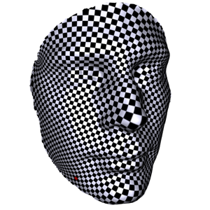 heads