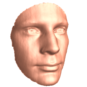 heads