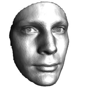 heads