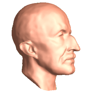 heads